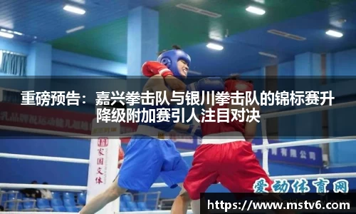 重磅预告：嘉兴拳击队与银川拳击队的锦标赛升降级附加赛引人注目对决
